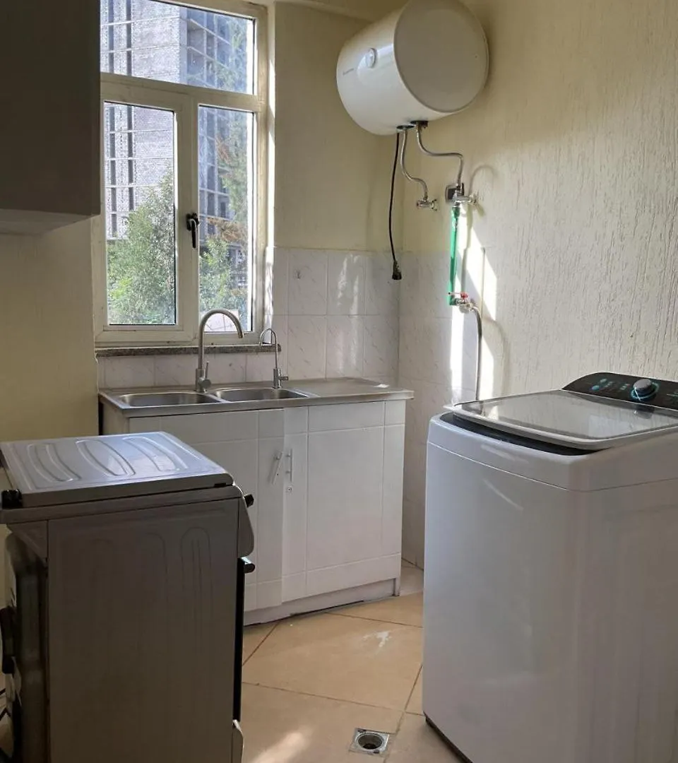 Luxurious Bole Apartment 亚的斯亚贝巴